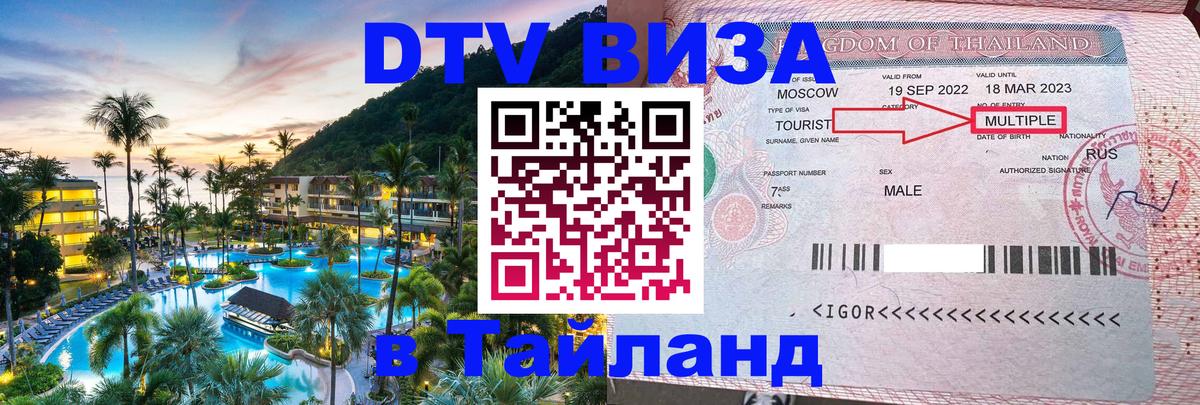 Оформление DTV визы под ключ: стоимость и тарифы, только загранпаспорт - 